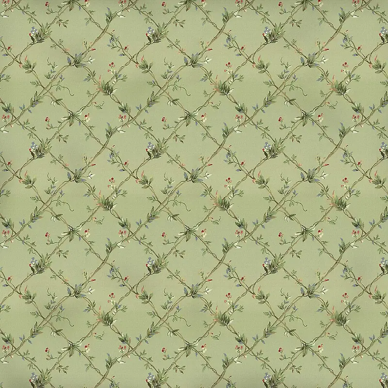 ����ֲ����ӱ���-������