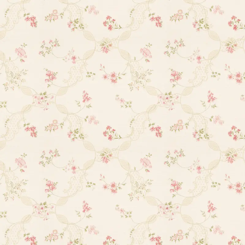 ���ܱ���ͼ��-������