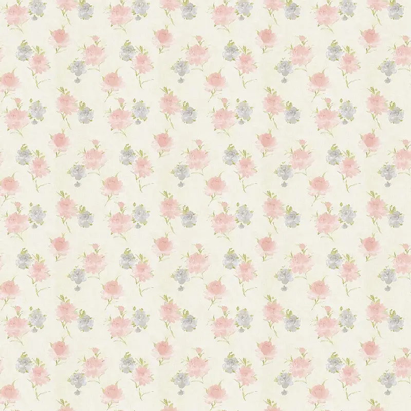 ��ͨ�ʻ��޷챳��-������