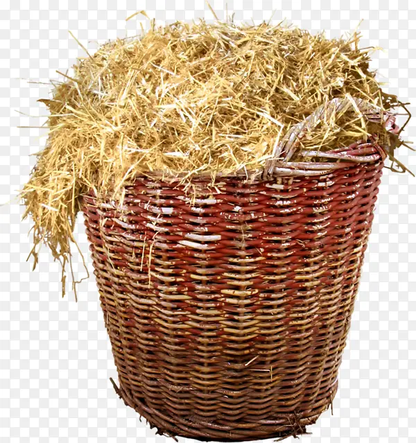 װ�Ųݵ�����-������