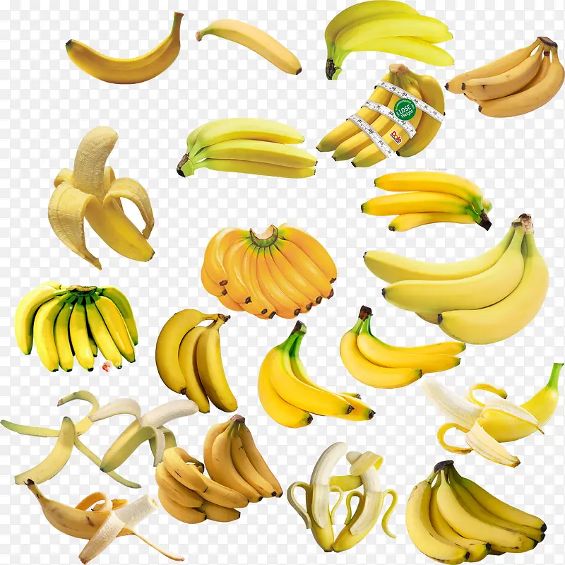 ˮ��Ԫ��-������