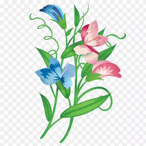 �л�����ֲ�����㶹-������