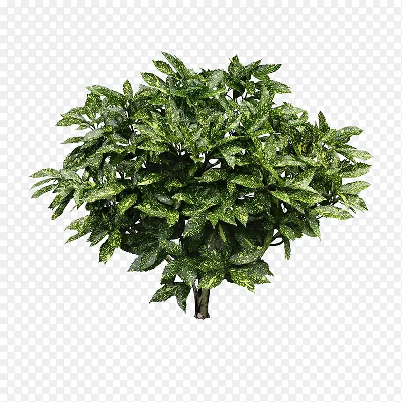 ����ǰ����-������