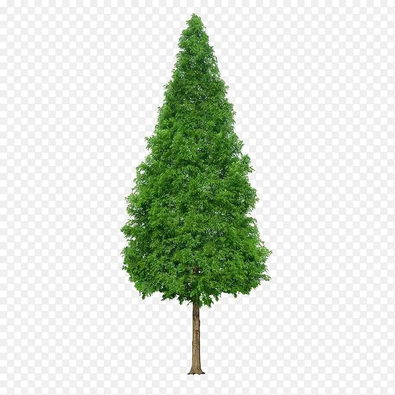 ����ǰ����-������