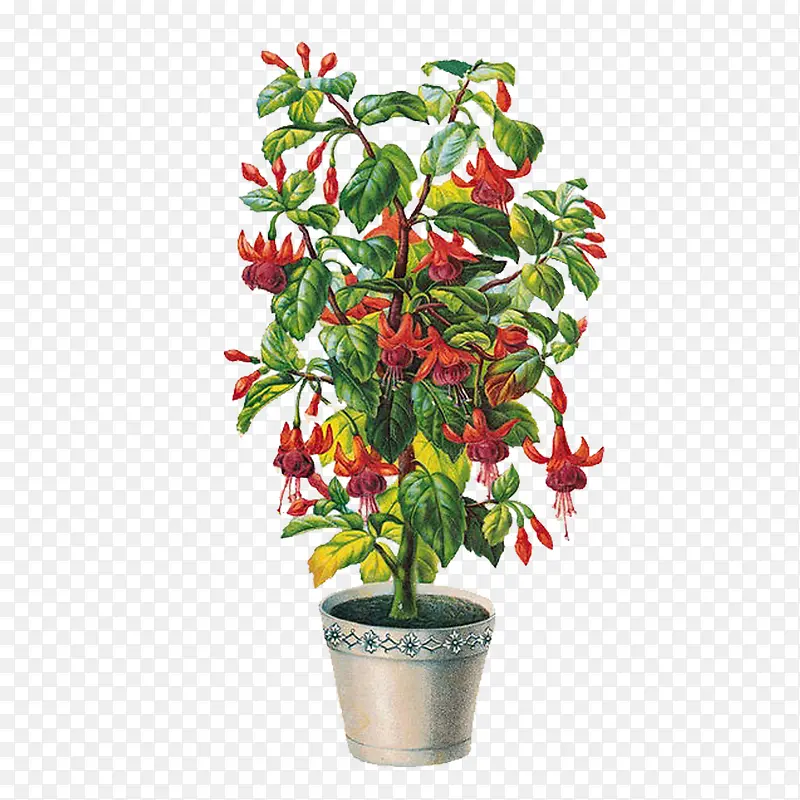 �廭��-������