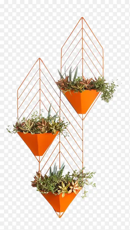 ��ɫ���Լ���-������