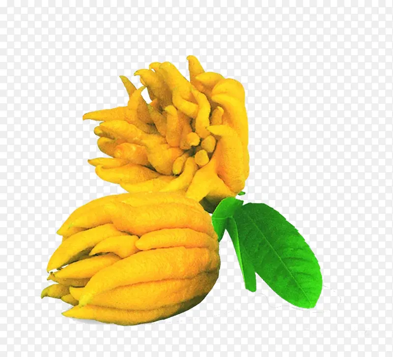 ���ָ��ز�����ز�-������