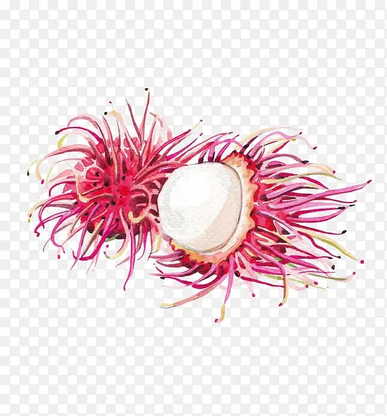 ��ͨ��ë��-������