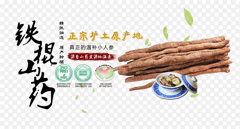 ����ɽҩ-������