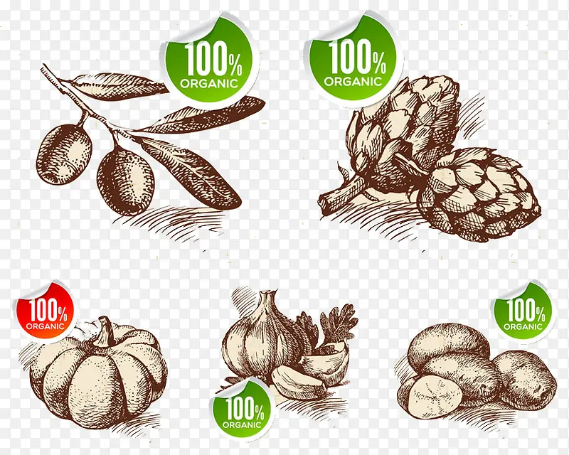 �ֻ��߲�������ͷ-������