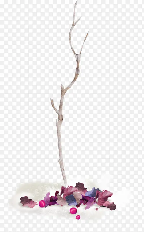 ����֦-������