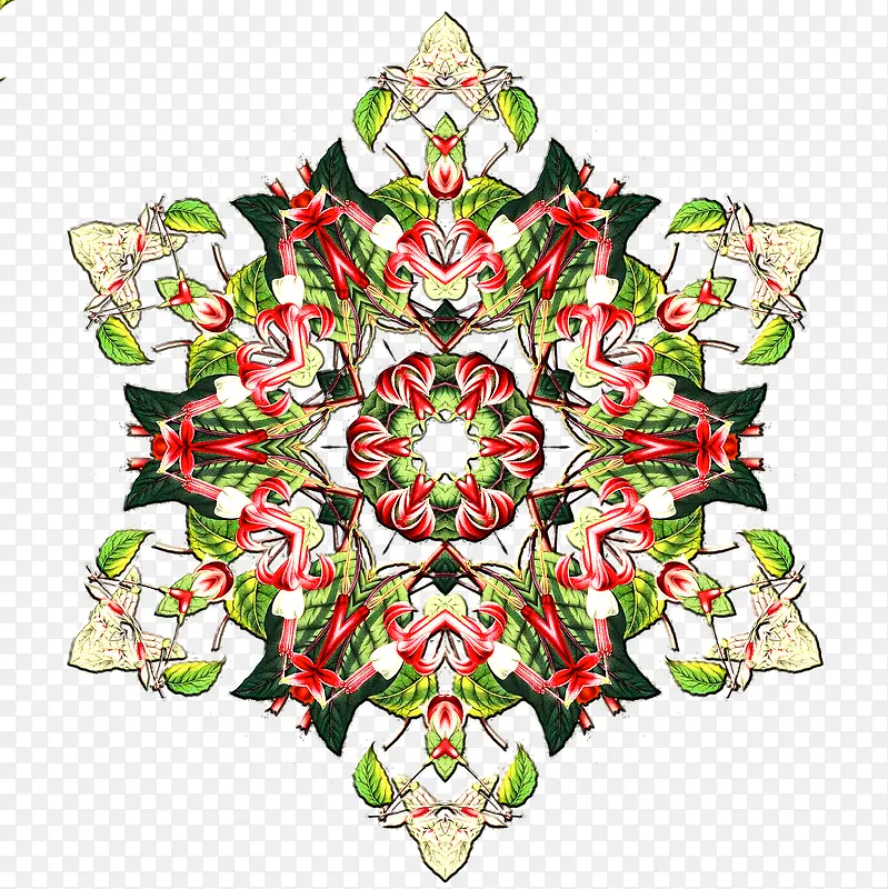 ��ʵ���״-������