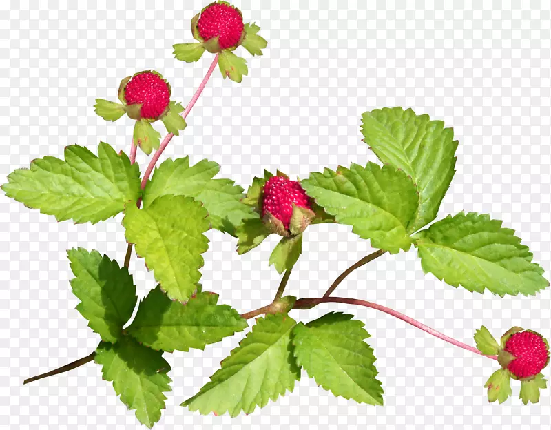 ���غ�ɫɣ��������-ɣ��-������