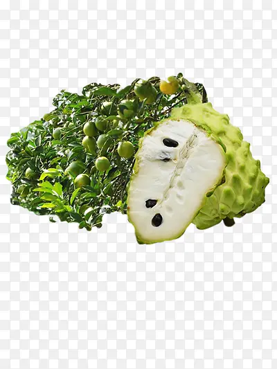 ���ȹ�-������