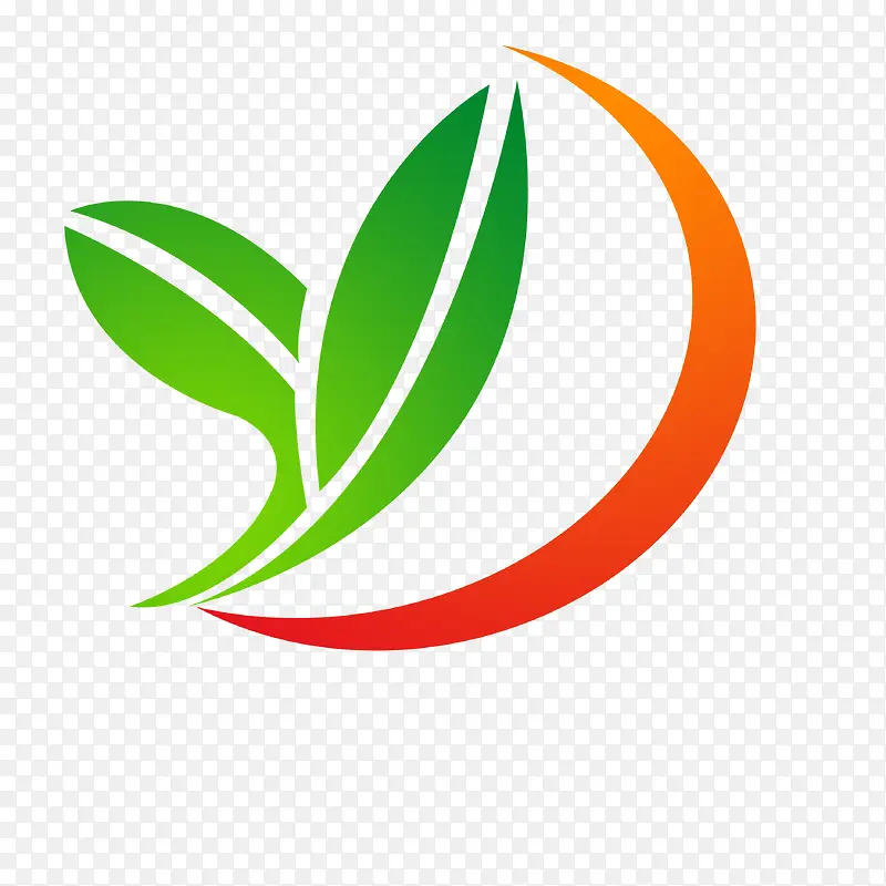 �����߲�-������