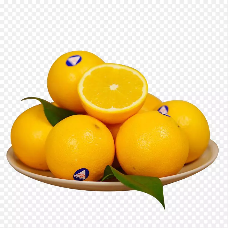 ������͡�Ĵ���������÷Ү����-�Ĵ�����-������