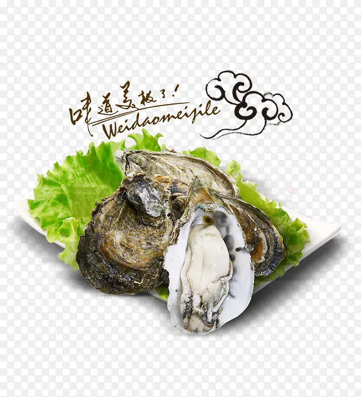 ��ٰ�ɫ����������-������