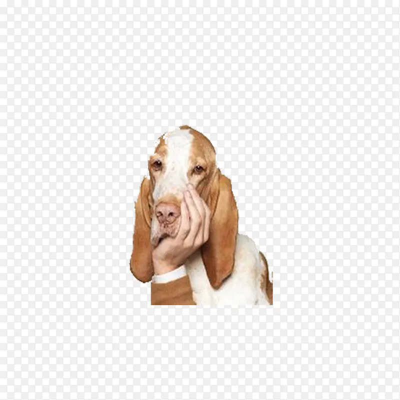 ��ͷ-������