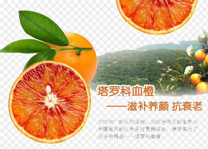 ˮ�����԰����-������