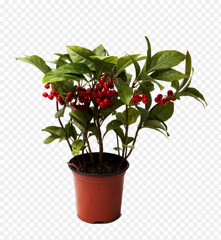 ���Թ����ز�-������