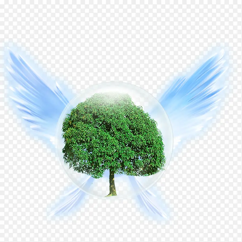 �������ֲ��-������