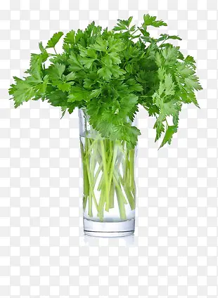 ����������-������