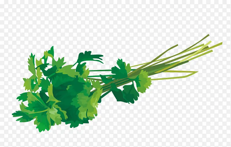 ʸ�����-������