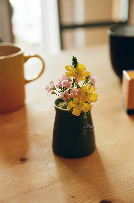 Ψ������Ҷ�������뱭��-������