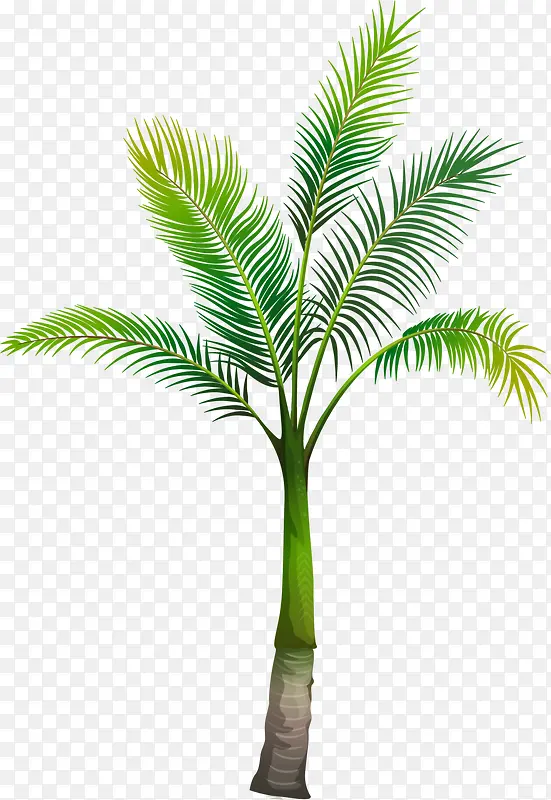 ������ɫ����-������