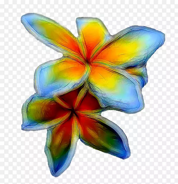 ����ֲ�ﻨ��Գ�-������