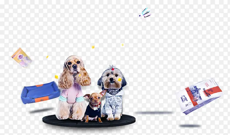 �ɰ��Ļ����̩��Ȯ-������