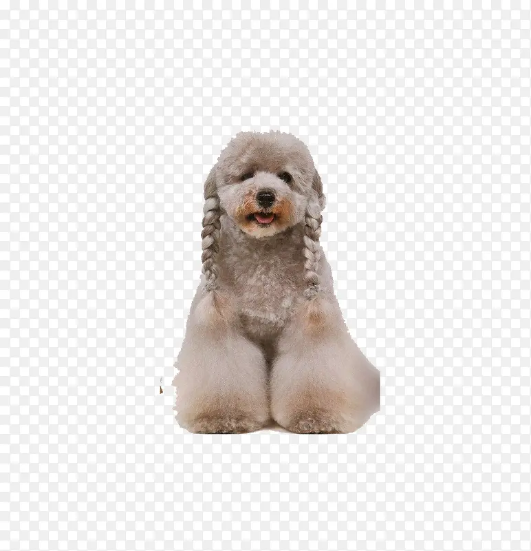 �ɰ�̩��Ȯ-������