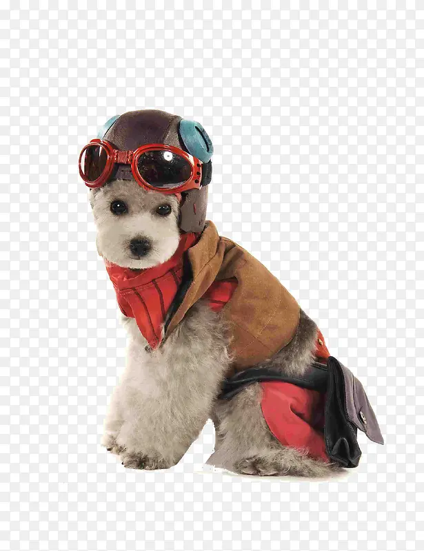 �ɰ�̩��Ȯ-������