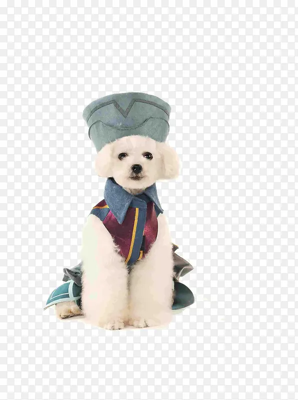 �ɰ�̩��Ȯ-������