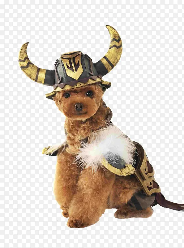 �ɰ�̩��Ȯ-������