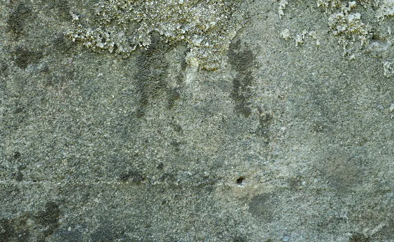 ˮ��ǽ�ڱ���-������