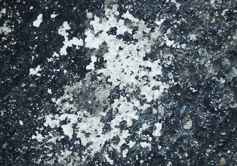 ����ǽ�ڱ�������-������