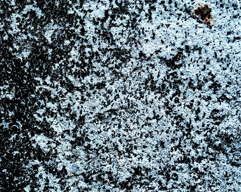 ����ǽ�ڱ���-������