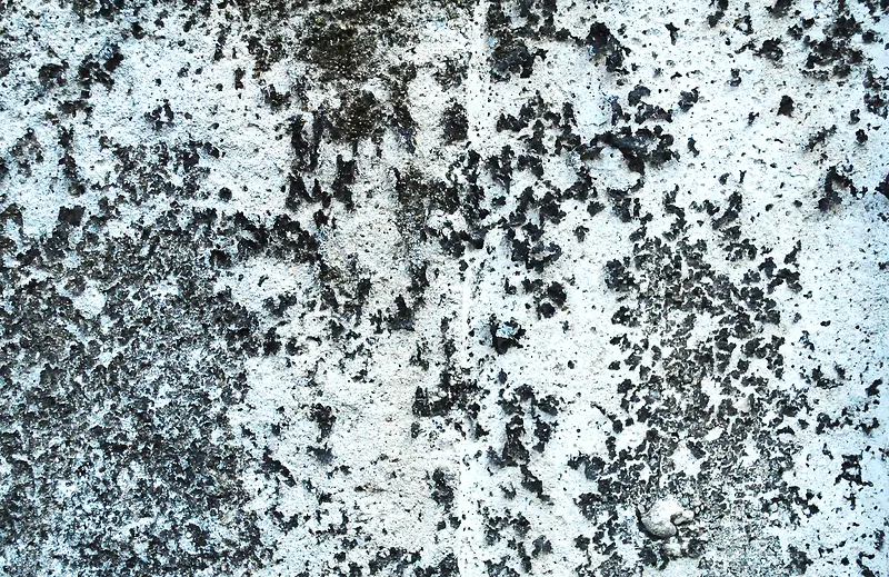 ������ǽ�ڱ���-������