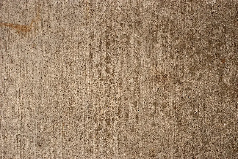 ����ǽ�ڱ�������-������