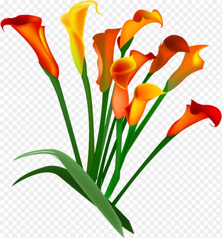 �ɰ���ɫ����������-������