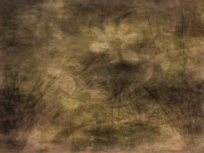 �Ƿϱ���42-������