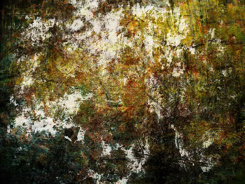 �Ƿϱ���06-������