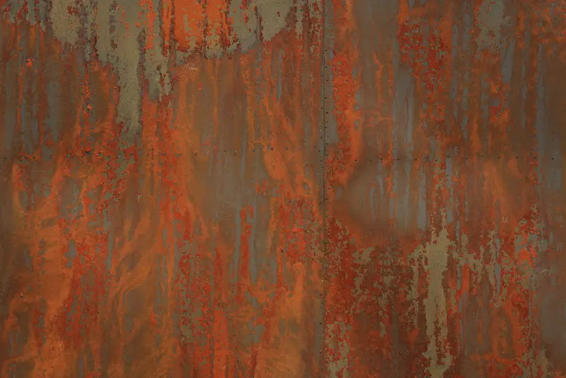 �⼣�߰߸ֲı���-������