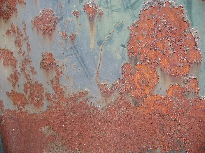 �⼣�߲߰���ֱ���-������