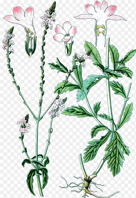 ���޲�װ�����-������