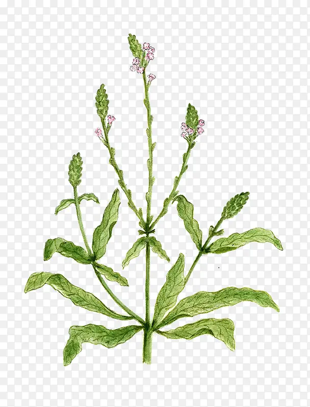 ���޲��ֻ�ͼƬ-������