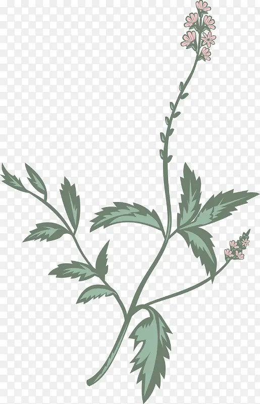 ���޲ݻ�-������