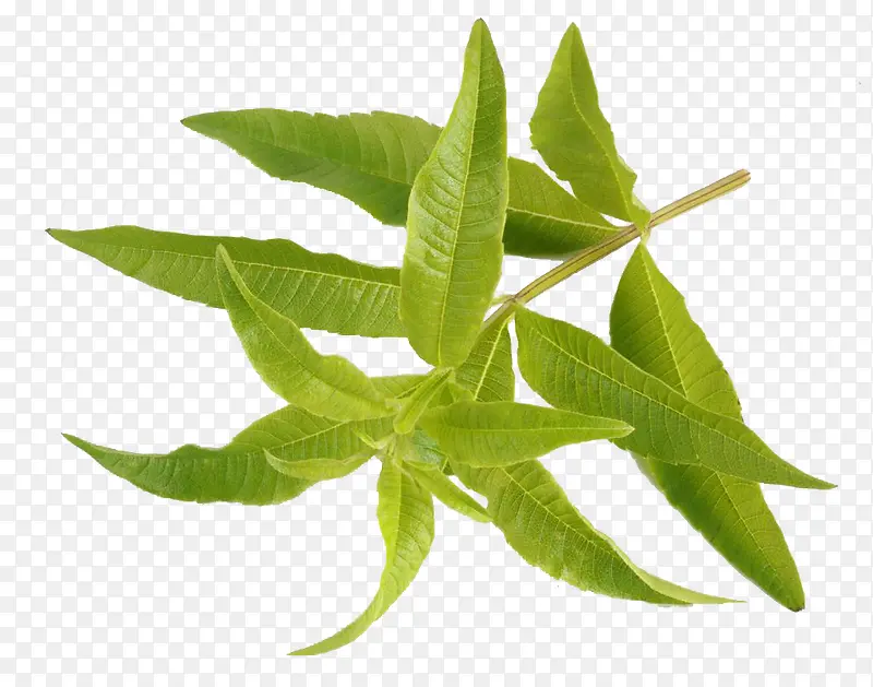 �������޲�װ������ز�-������