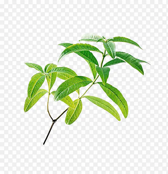 ���޲��������-������